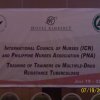 International Council of Nurses &raquo; International Council of Nurses MDR-TB Workshop (2010)